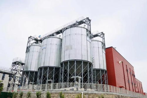 山東省酒業(yè)協(xié)會領導參觀指導趵突泉酒莊技術(shù)開發(fā)與建設工作